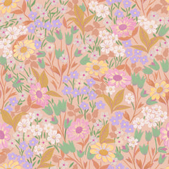 Lola - Apricot