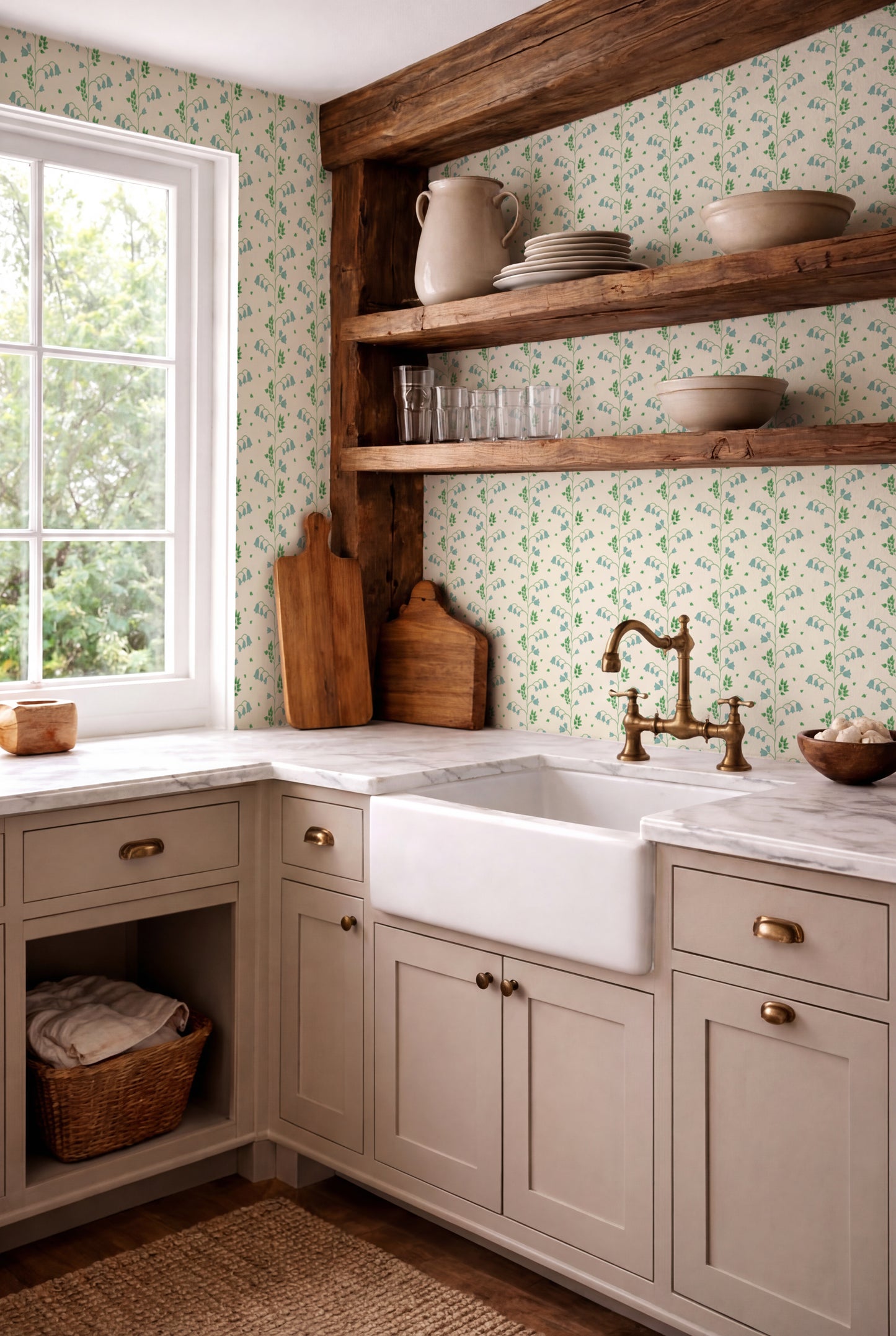 Campanula - Turchese