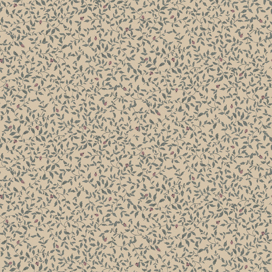Ladybirds - Admiral