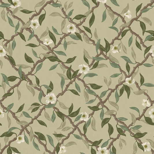 Summer Gray Wallpaper - Espalier - Sage Green
