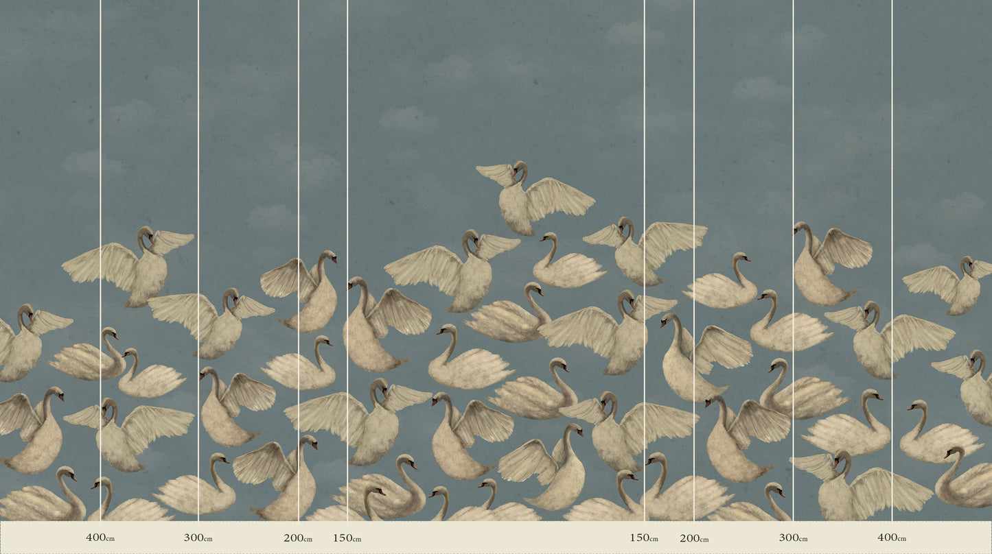 Night Swans - Sky