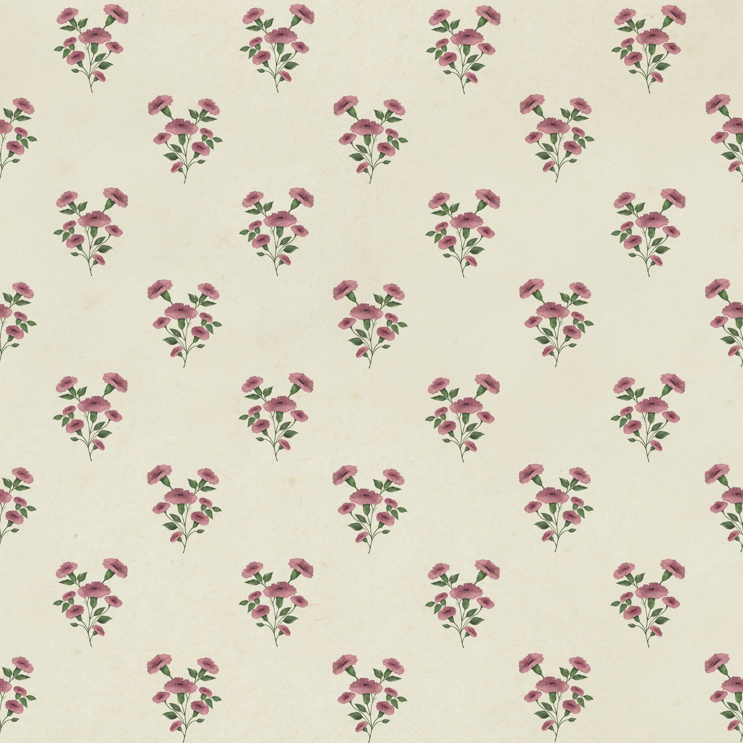 Herbarium - Rosa