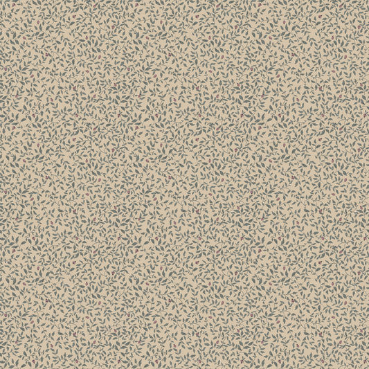 Lieveheersbeestjes - Admiraal