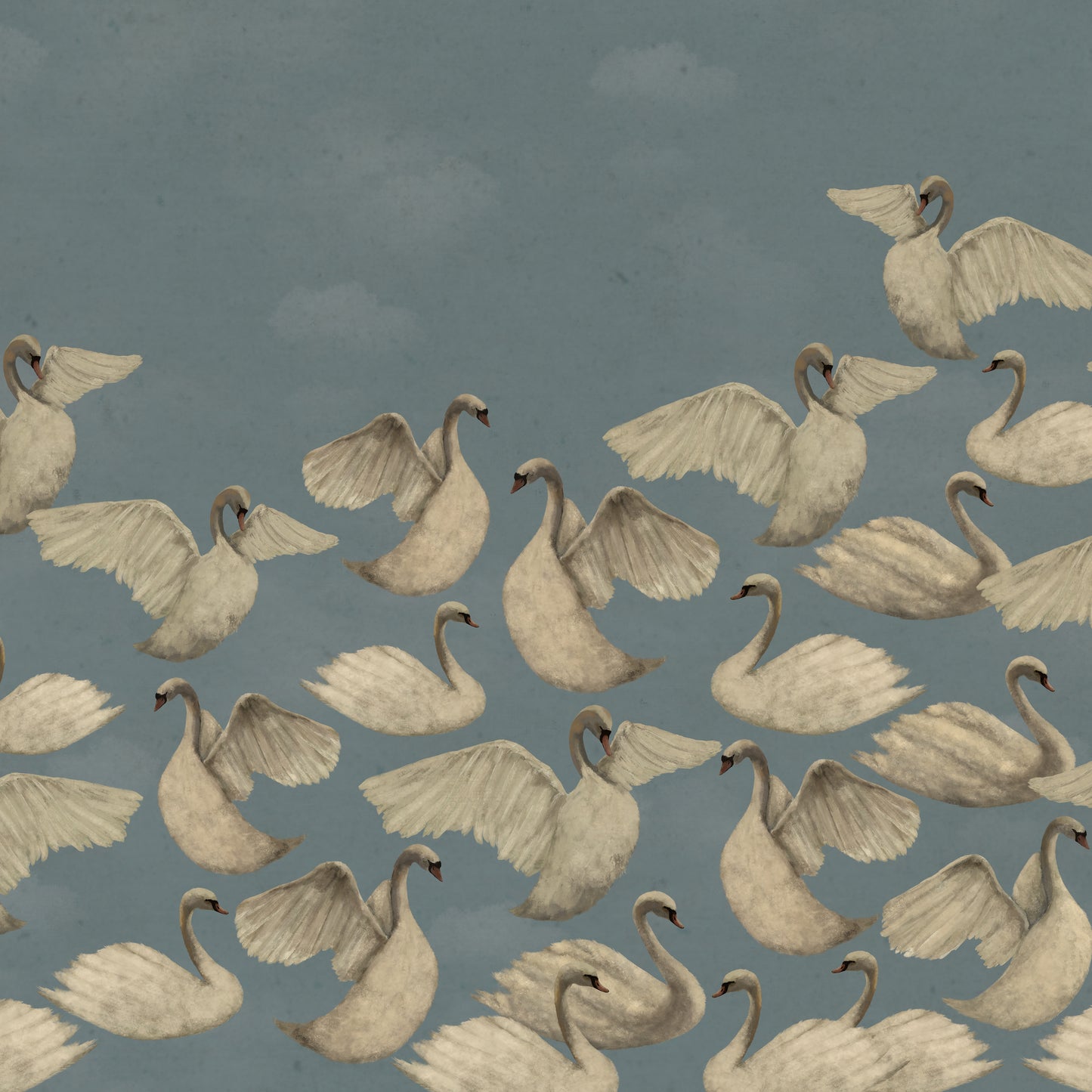 Night Swans - Sky