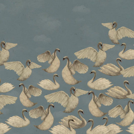 Night Swans - Teal