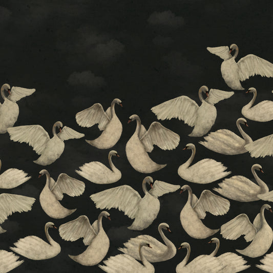 Night Swans - Charcoal