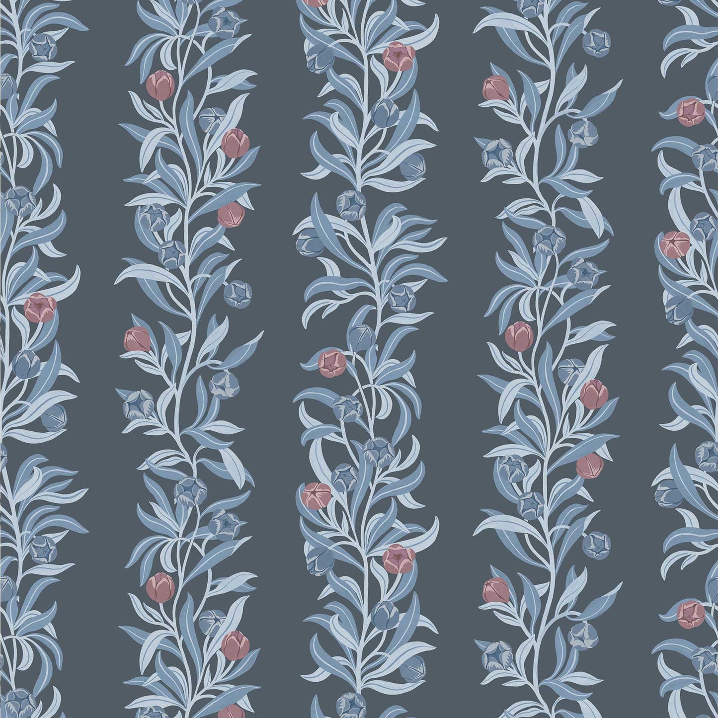 Grandiflora - Midnight