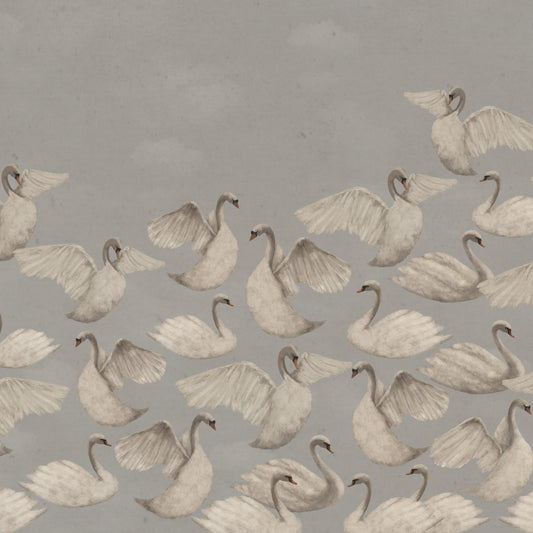 Night Swans - Gray