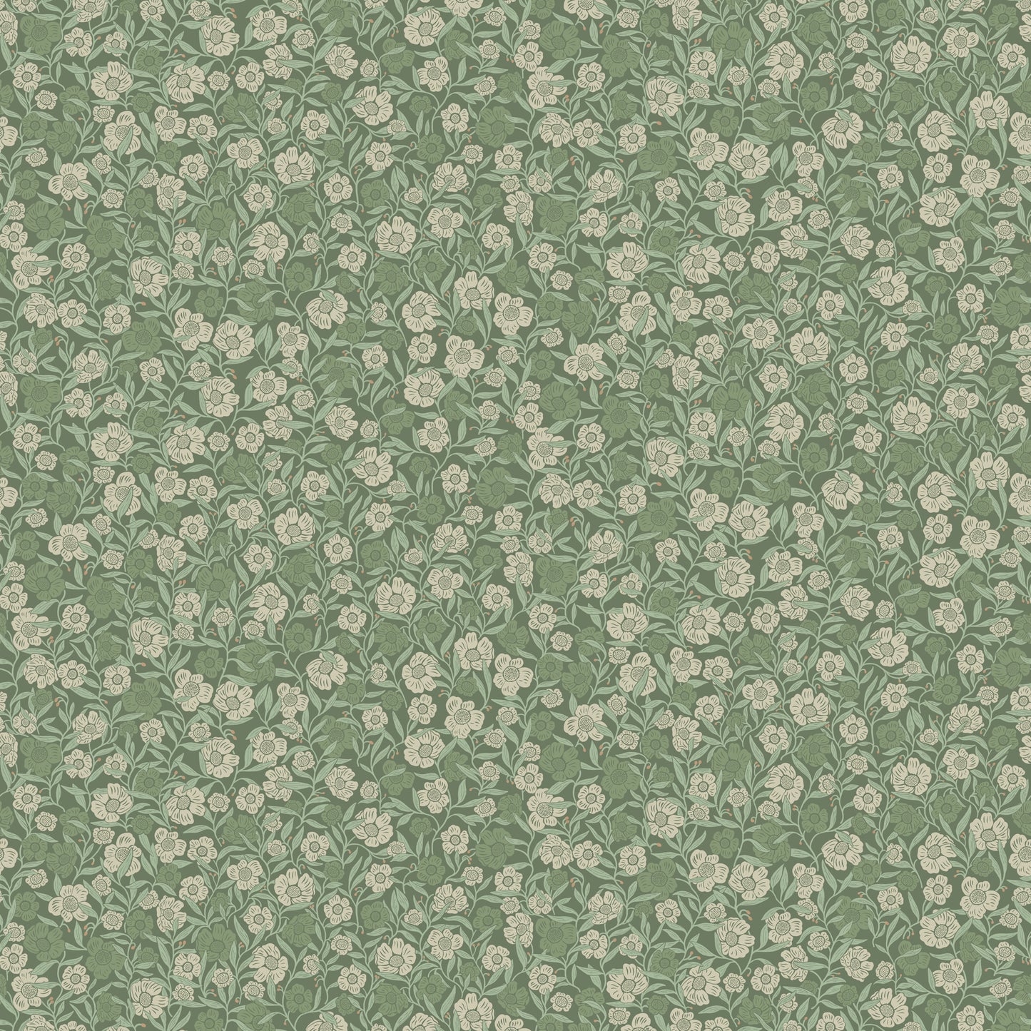 Isabella - Sage