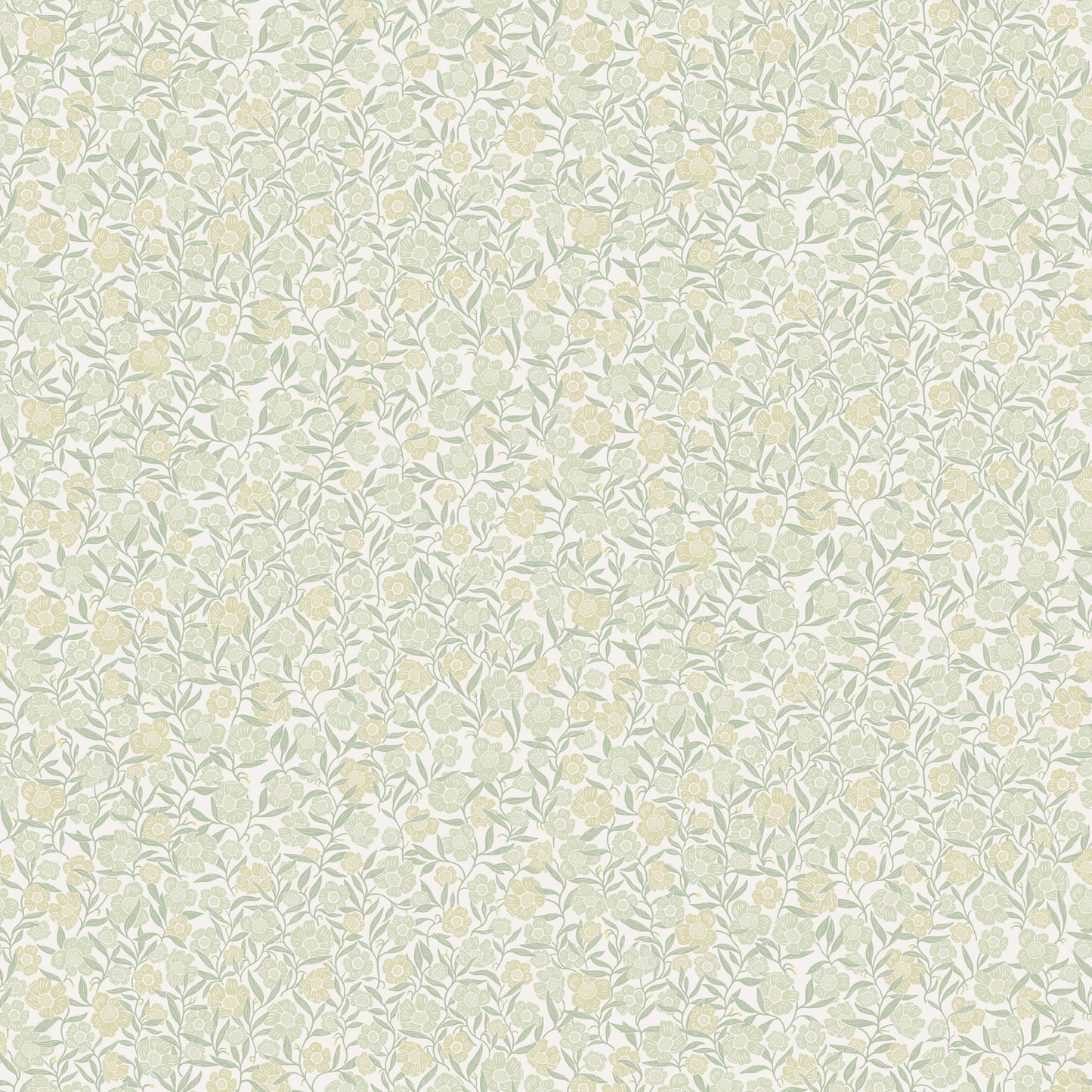 Isabella - Pistachio