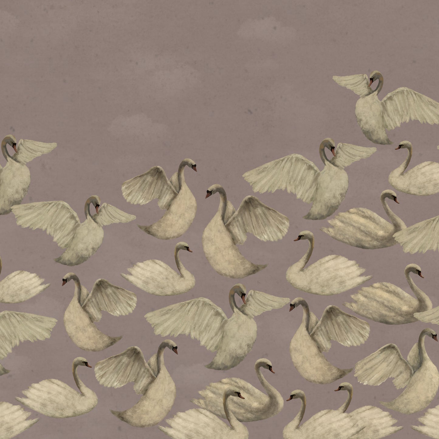 Night Swans - Dusty Pink