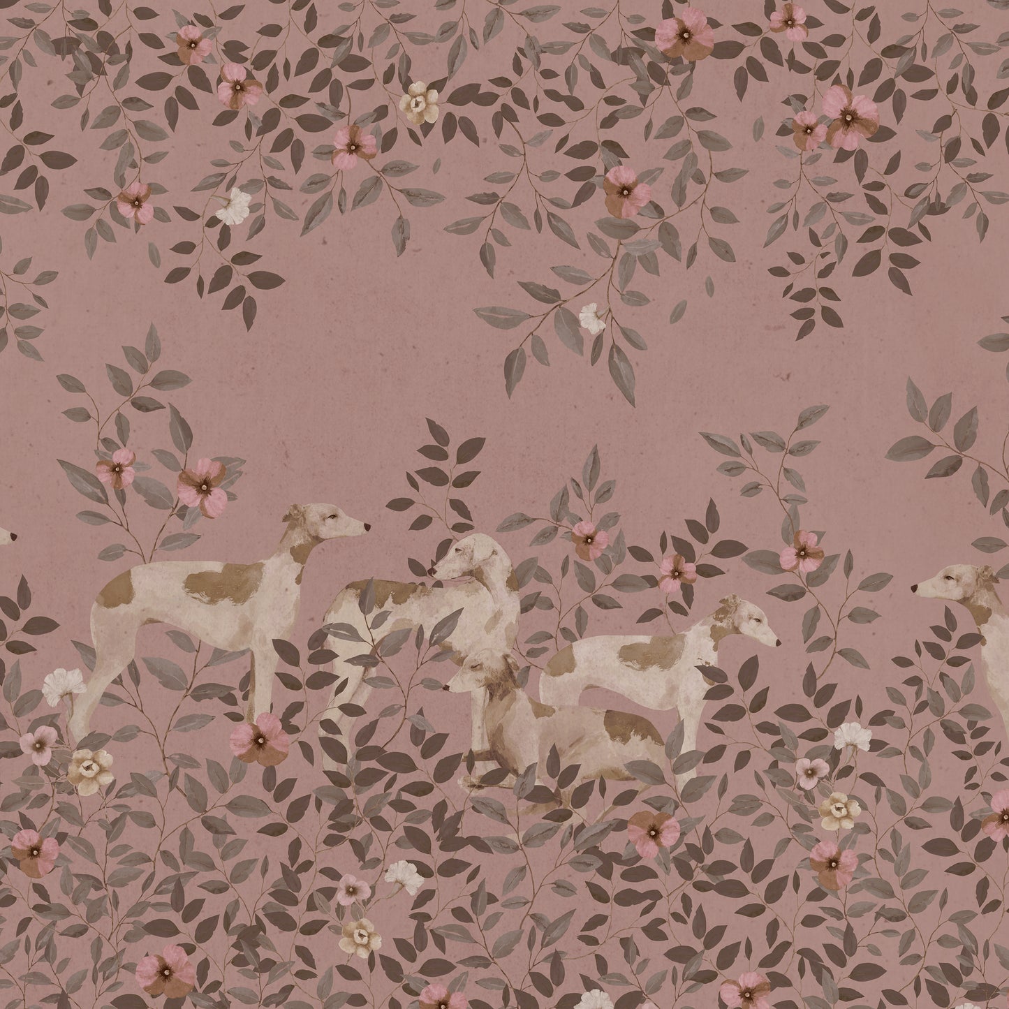 Prato Tranquillo - Rosa