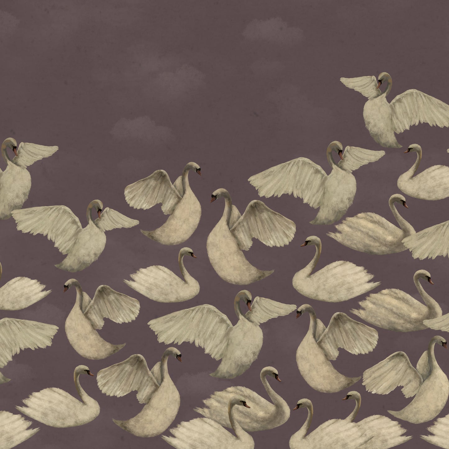 Night Swans - Mauve