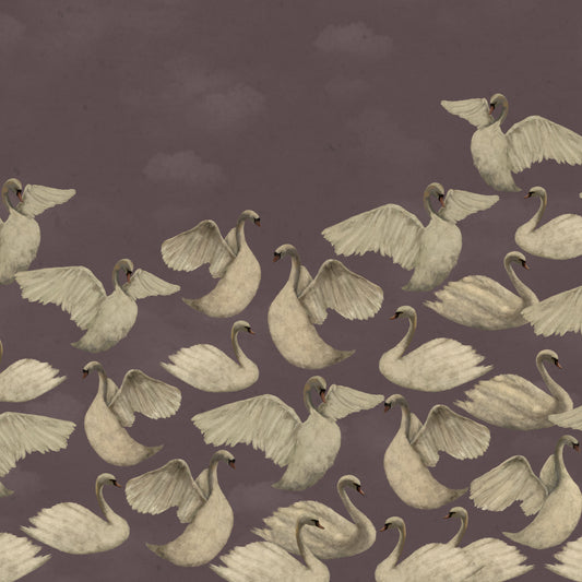 Night Swans - Purple