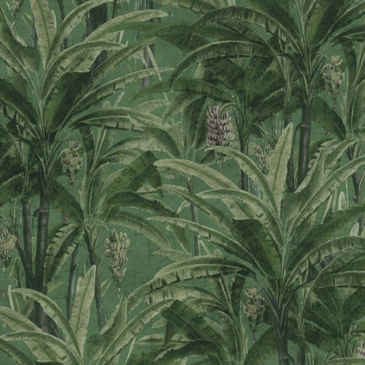 Behang jungle met palmbladeren in groen