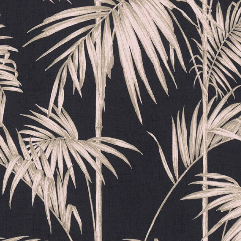 Wallpaper palms with dark black background