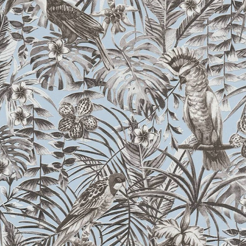 Wallpaper jungle with parrot in blue