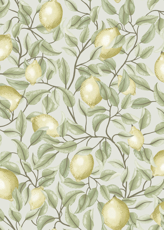 Summer Gray Wallpaper - Lemon Trees - Tea green