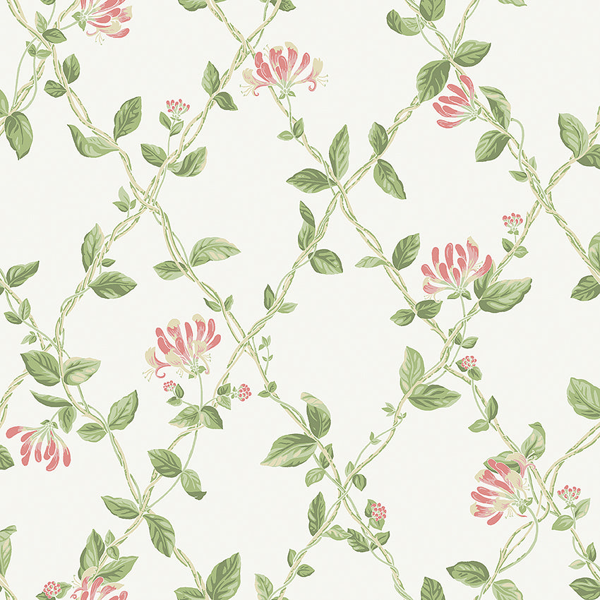 Borastapeter wallpaper - Honeysuckle trellis