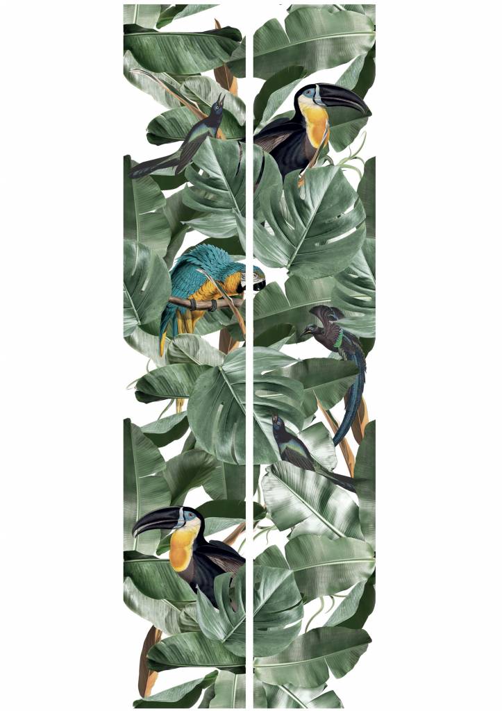 Behang - Botanische Vogels