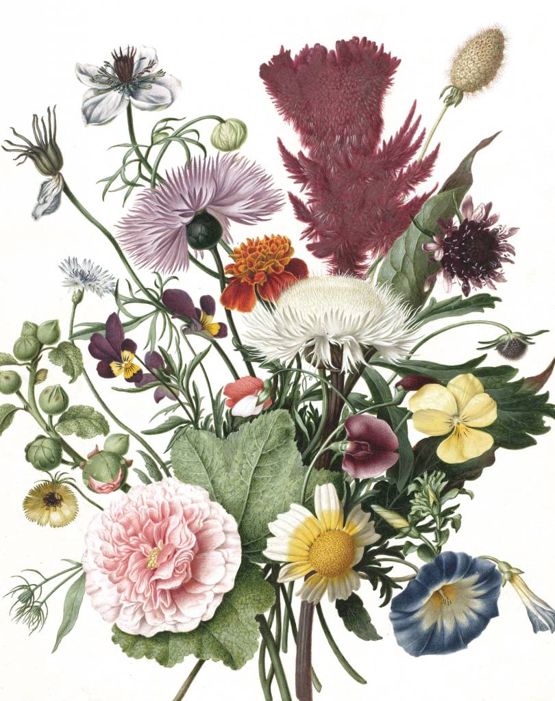Behangpaneel - Wilde bloemen