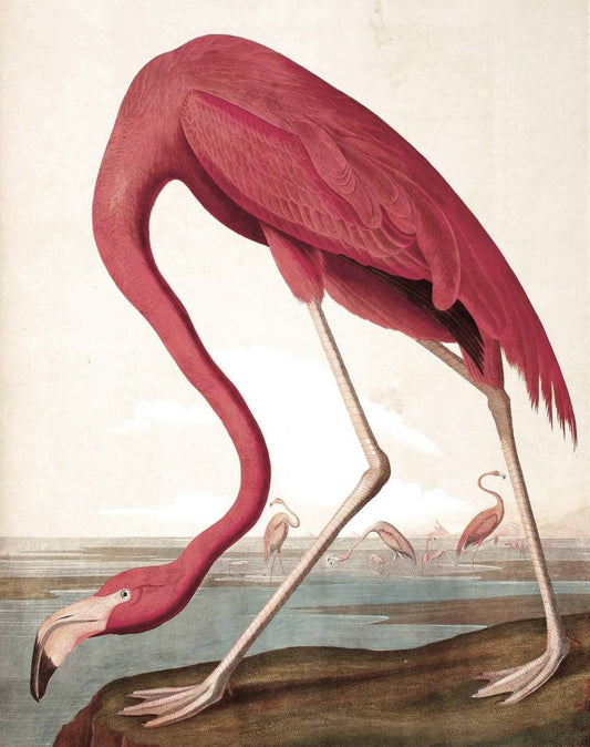 Wallpaper Panel - Panel Flamingo