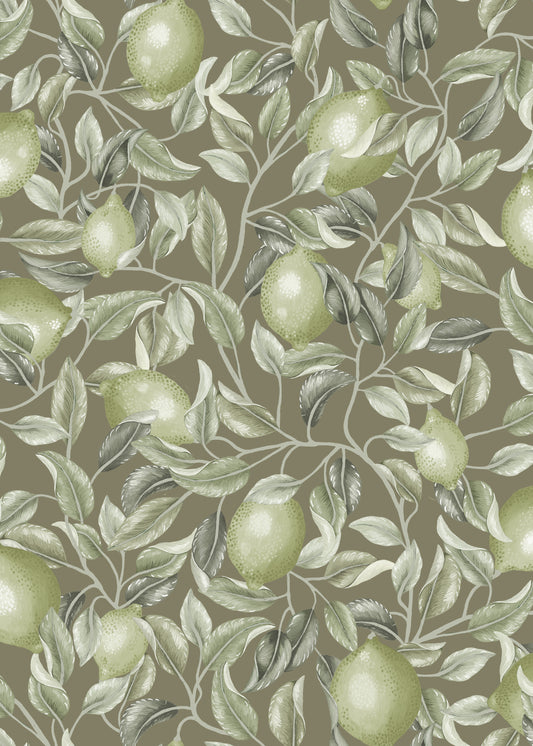 Summer Gray Wallpaper - Lemon Trees - Olive Green